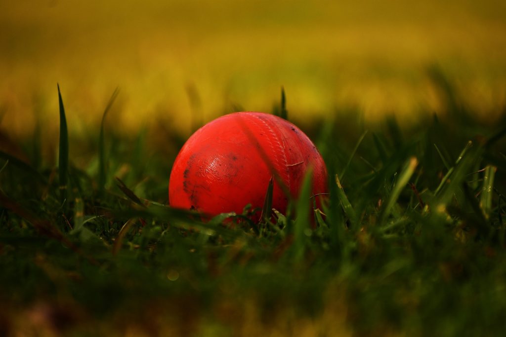 IPL Betting
